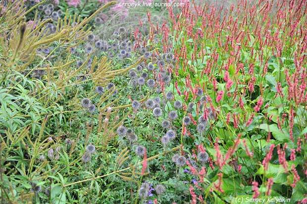 Trantham Gardens 080.JPG