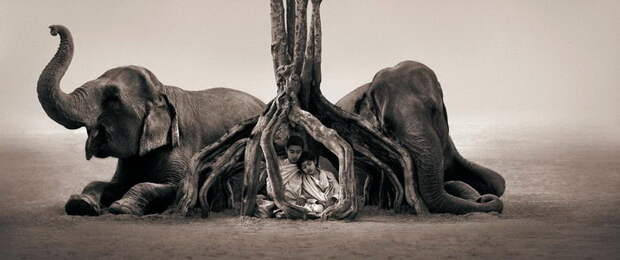 Люди и животные в фотографиях Gregory Colbert