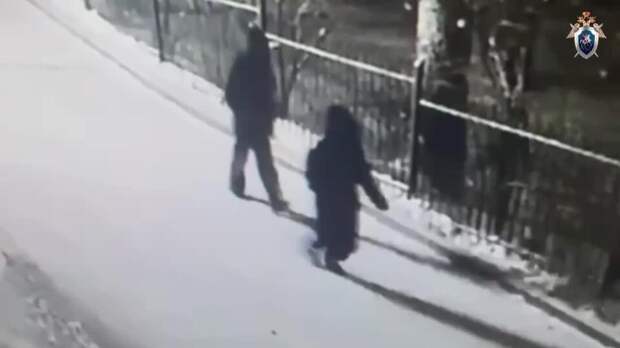 Похищенный в Красноярске школьник оказался сыном крупного бизнесмена