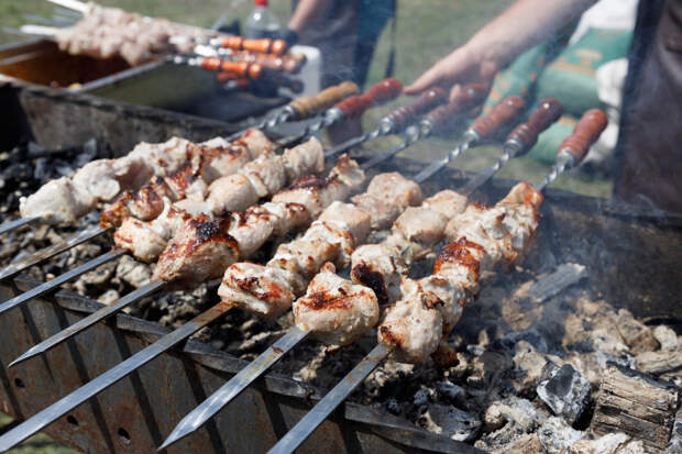 Спасатели напомнили тулякам правила безопасного приготовления шашлыка на даче