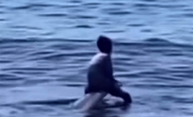 Фото: 9gag/скриншот