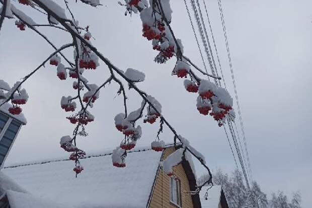 Специалисты советуют как сохранить тепло в сильные морозы
