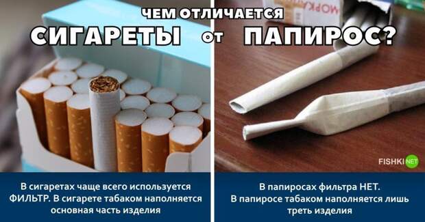 Чем отличаются сигареты от папирос? инструменты, интересное, отличия, понятия, продукты