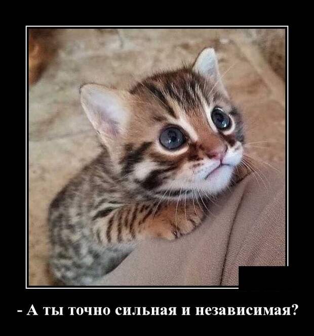 Демотиваторы (30 фото)