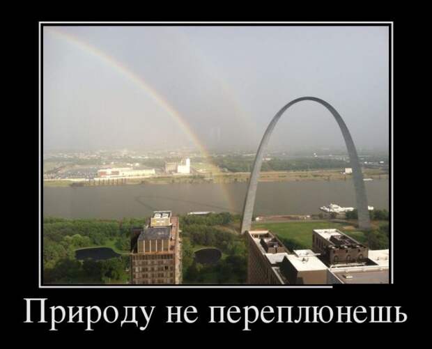 demotivatory-demotivator-smeshnye-demotivatory-demotivator-so-smyslom demotivatory-demotivator-smeshnye-demotivatory-demotivator-so-smyslom