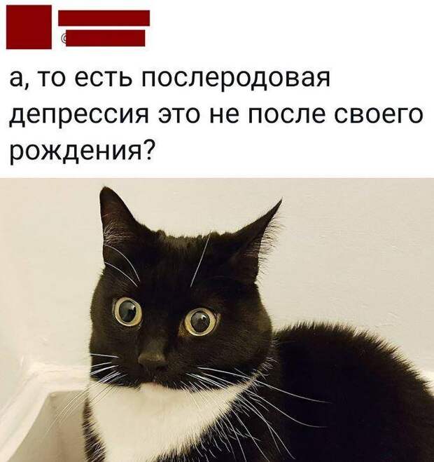 смешные картинки с надписями (8)