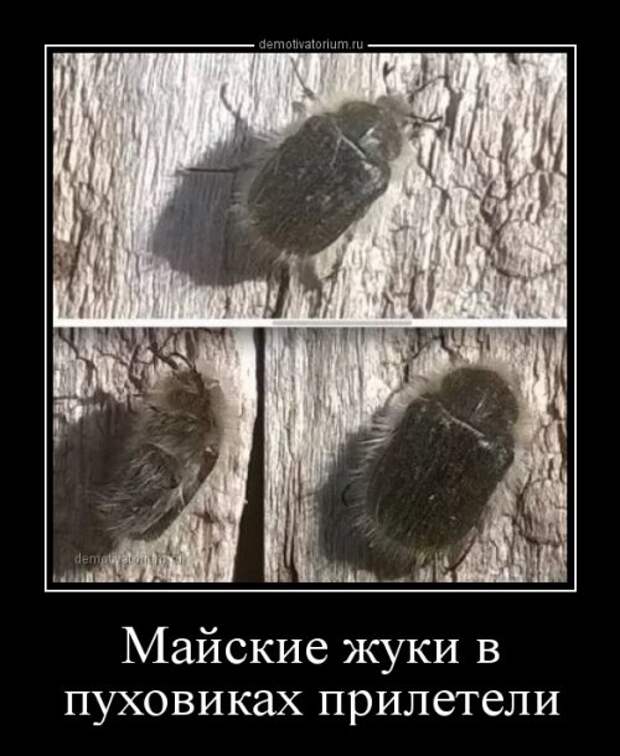 Свежие демотиваторы (16 шт)