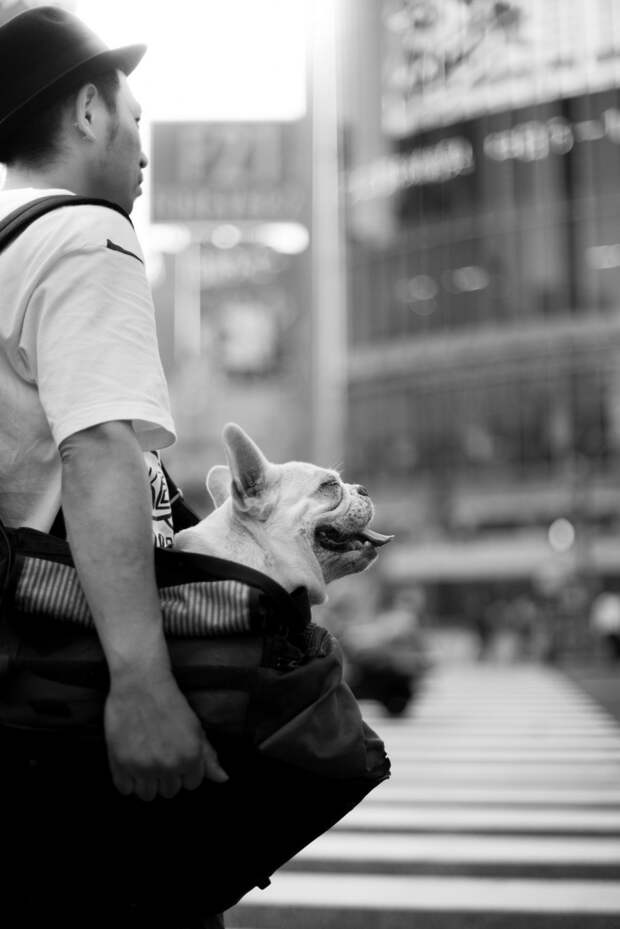 Tokio-fotograf-Skander-Hlif 62