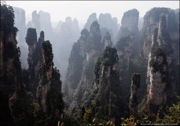 Летающие скалы «Аватара» - Улинъюань в национальном парке Чжанцзяцзе, Китай