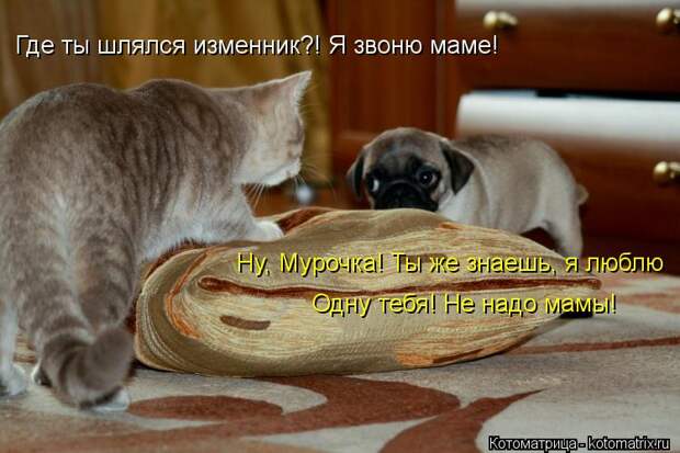 Картинки по запросу ИЗМЕННИК