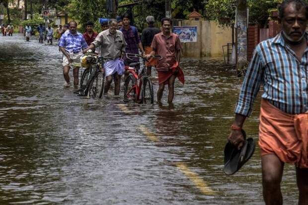 Но как только она приблизилась к своей цели, Ануприя узнала о сильном наводнении, которое практически разрушило соседний индийский штат Керала, граничащий с её родным штатом Тамилнад в мире, деньги, добро, история, люди, награда