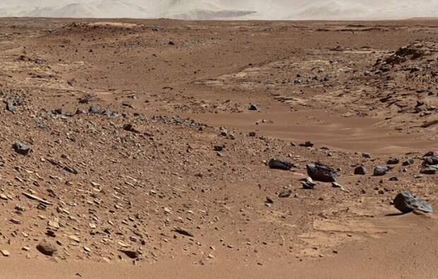 Следы жизни на Марсе обнаружили еще в 1970 году – заявил бывший работник NASA