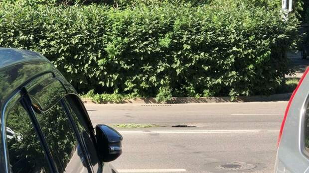 На дороге в центре Барнаула провалился асфальт