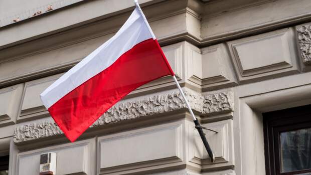 В Польше рассказали, чем обернутся попытки сделать из России врага