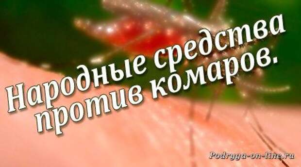 Прозба