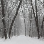 анонс