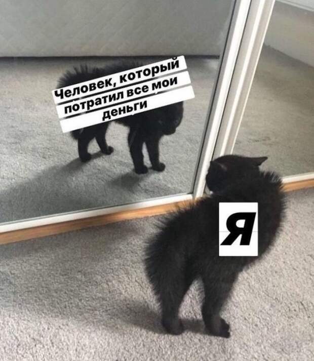 www.vsyako.net