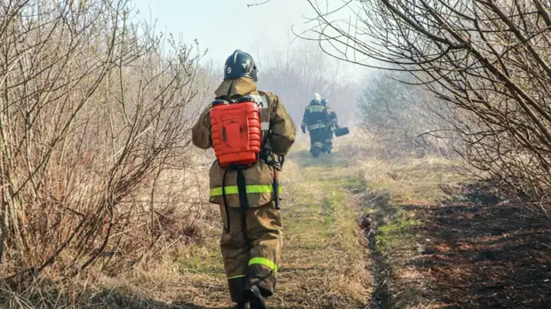 Прокуратура начала проверку после пожара в частных домах под Самарой