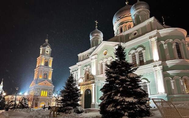 Рязанскую область в новогодние праздники посетили 300 тысяч туристов