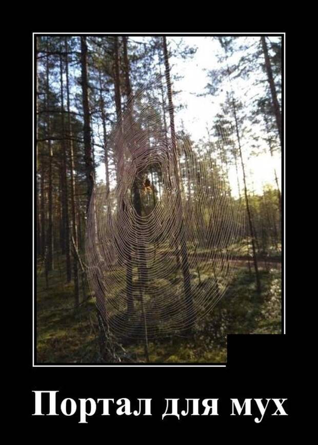 Демотиваторы (20 фото)