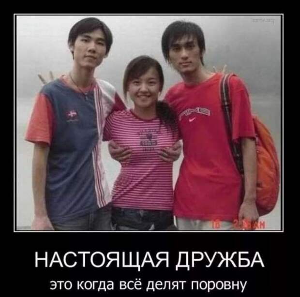 Прикольные демотиваторы с надписями. Подборка chert-poberi-dem-chert-poberi-dem-57570603092020-8 картинка chert-poberi-dem-57570603092020-8