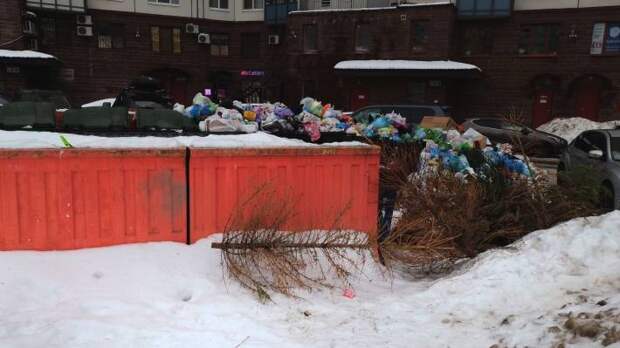 Петербургские власти упустили подготовку к мусорной реформе