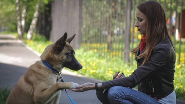 Благодаря грантам появляются социально значимые проекты
