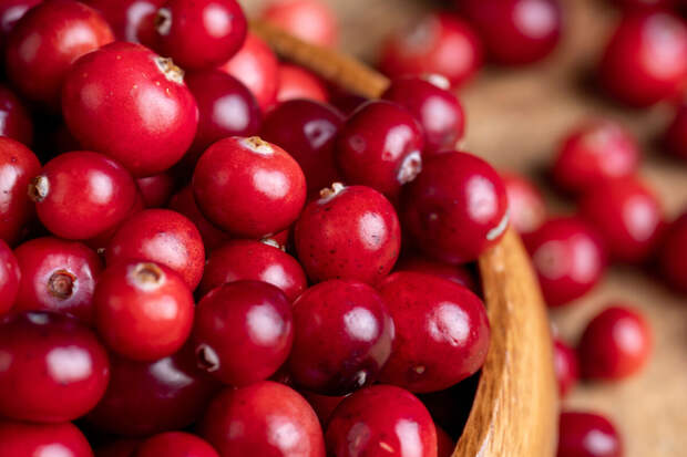 F&F: в клюкве нашли природное вещество защиты от инфекций без антибиотиков