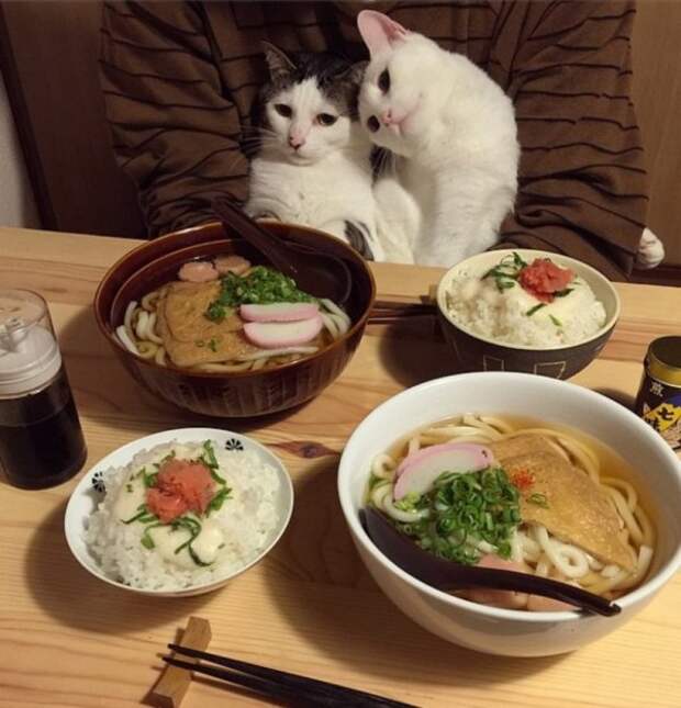 Удачный кадр