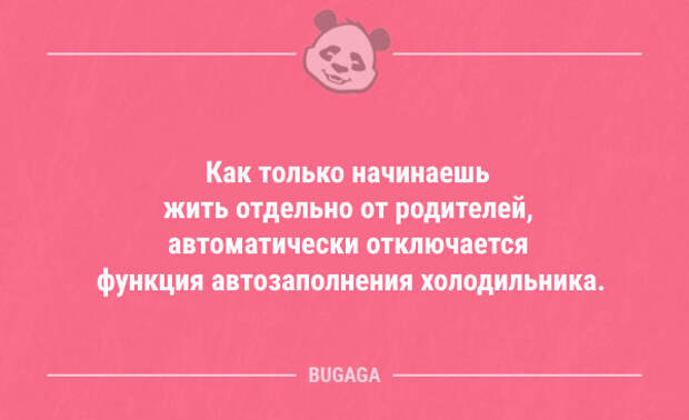 Анекдоты в пятницу (11 шт)