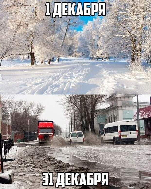25 убойных картинок из соцсетей, которые сделают ваш день!