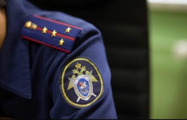 Глава СК России потребовал доложить о расследовании хулиганских действий пассажира московского метро