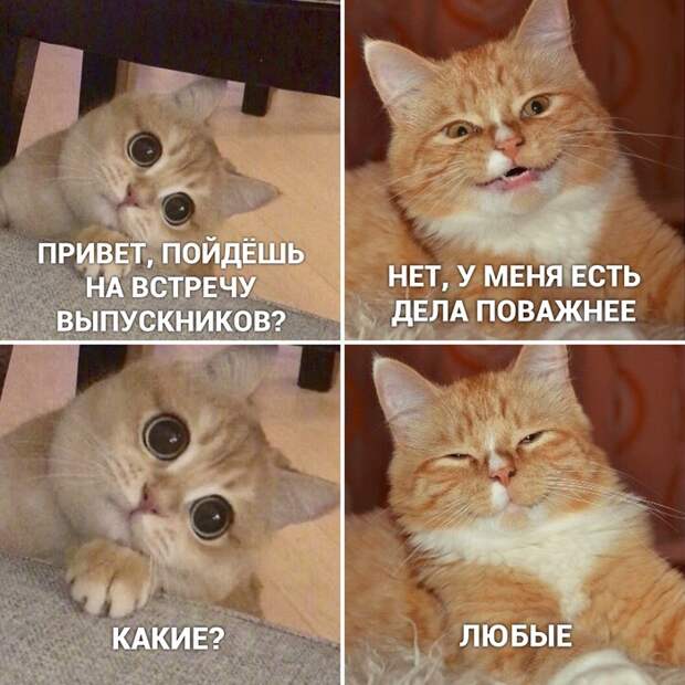 Встреча выпускников