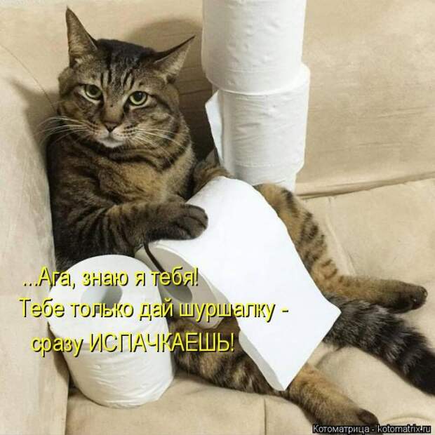 Забавные котоматрицы
