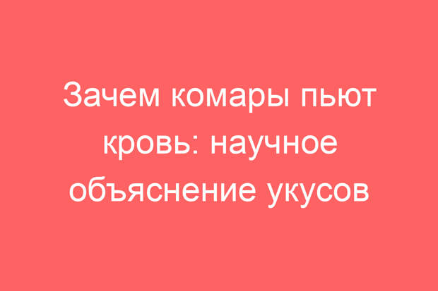 Зачем комары пьют кровь: научное объяснение укусов