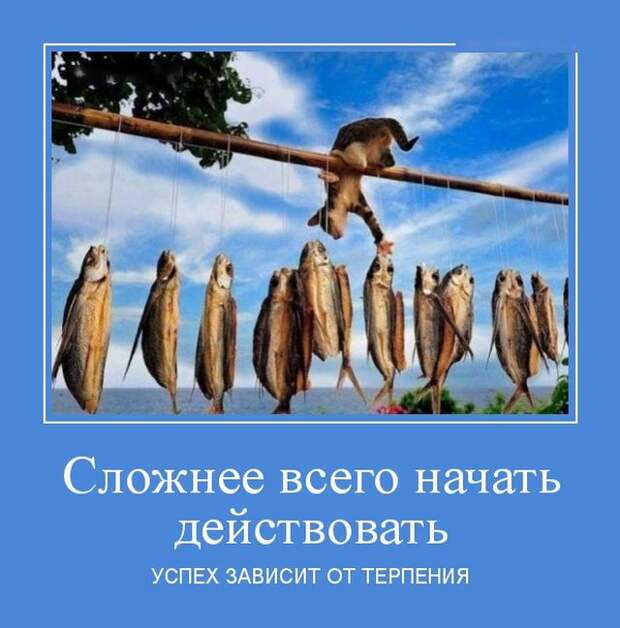 Демотиваторы (30 фото) Демотиваторы (30 фото)