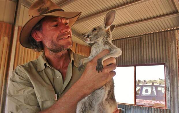 Крис Барнс - спаситель детенышей кенгуру Крис Барнс, доброта, животные, кенгуру, люди