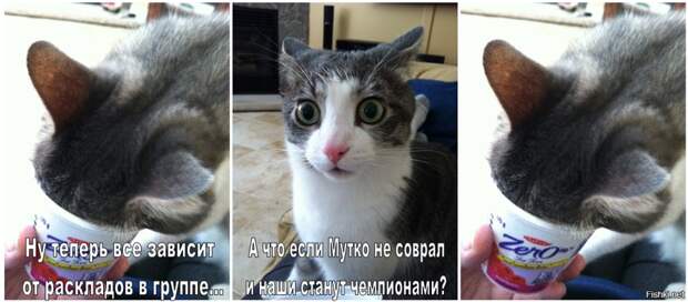 No comment No comment Euro2016, евро2016, россия, спорт, футбол, юмор