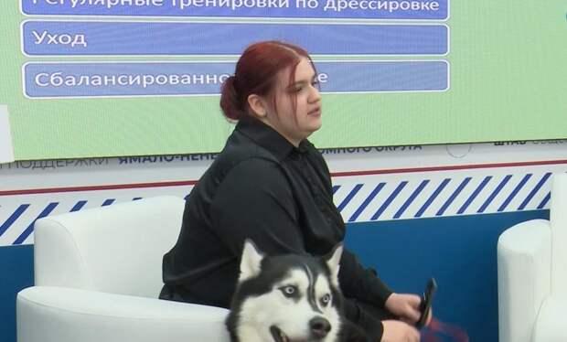 В Штабе общественной поддержки Ямала салехардцы пообщались с инструктором по дрессировке собак