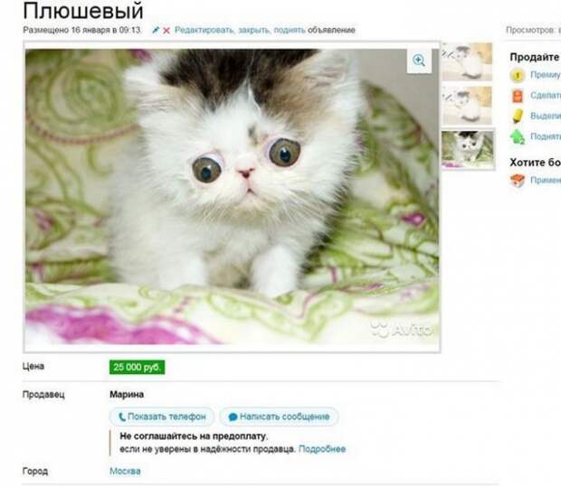 Веселые объявления с Avito (часть 3)