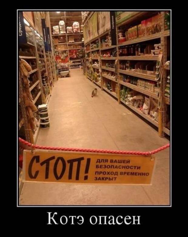 Демотиваторы (30 фото) Демотиваторы (30 фото)