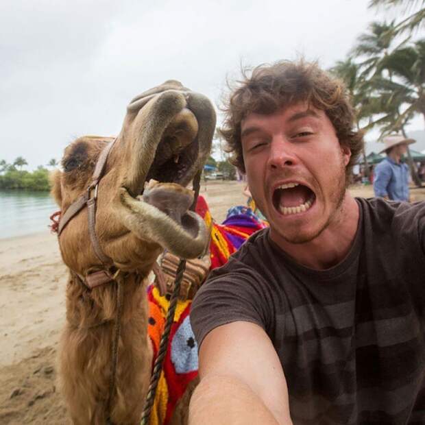 5511160-880-1450945704-selfie-master-dr-dolittle-29
