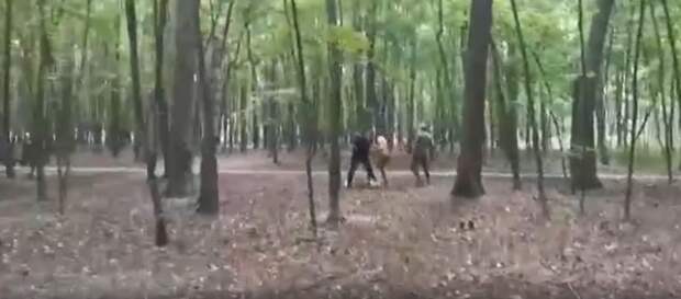 В соцсети разыскивают хулиганов из Щукинского лесопарка
