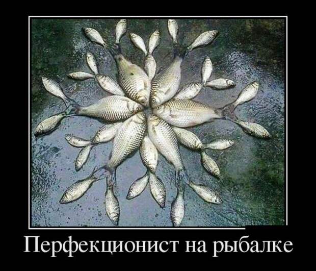 Демотиваторы (30 фото) Демотиваторы (30 фото)