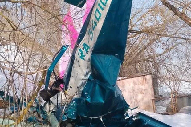 Число жертв крушения самолета под Москвой выросло