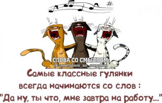 Каждая фраза как жизнь...