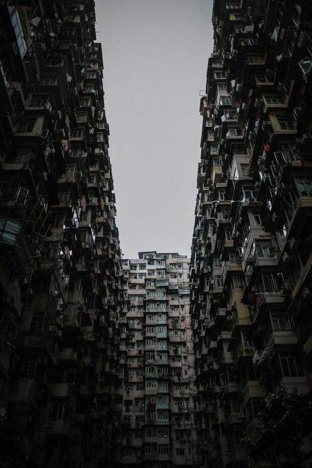 архитектура, здание