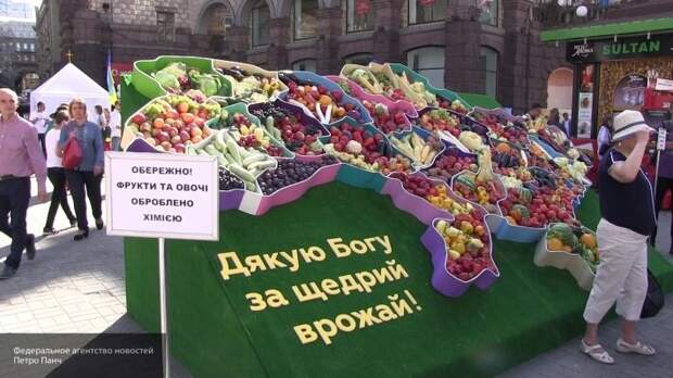 Конев объяснил, как пострадали украинцы от попыток Киева навредить России блокадой Крыма