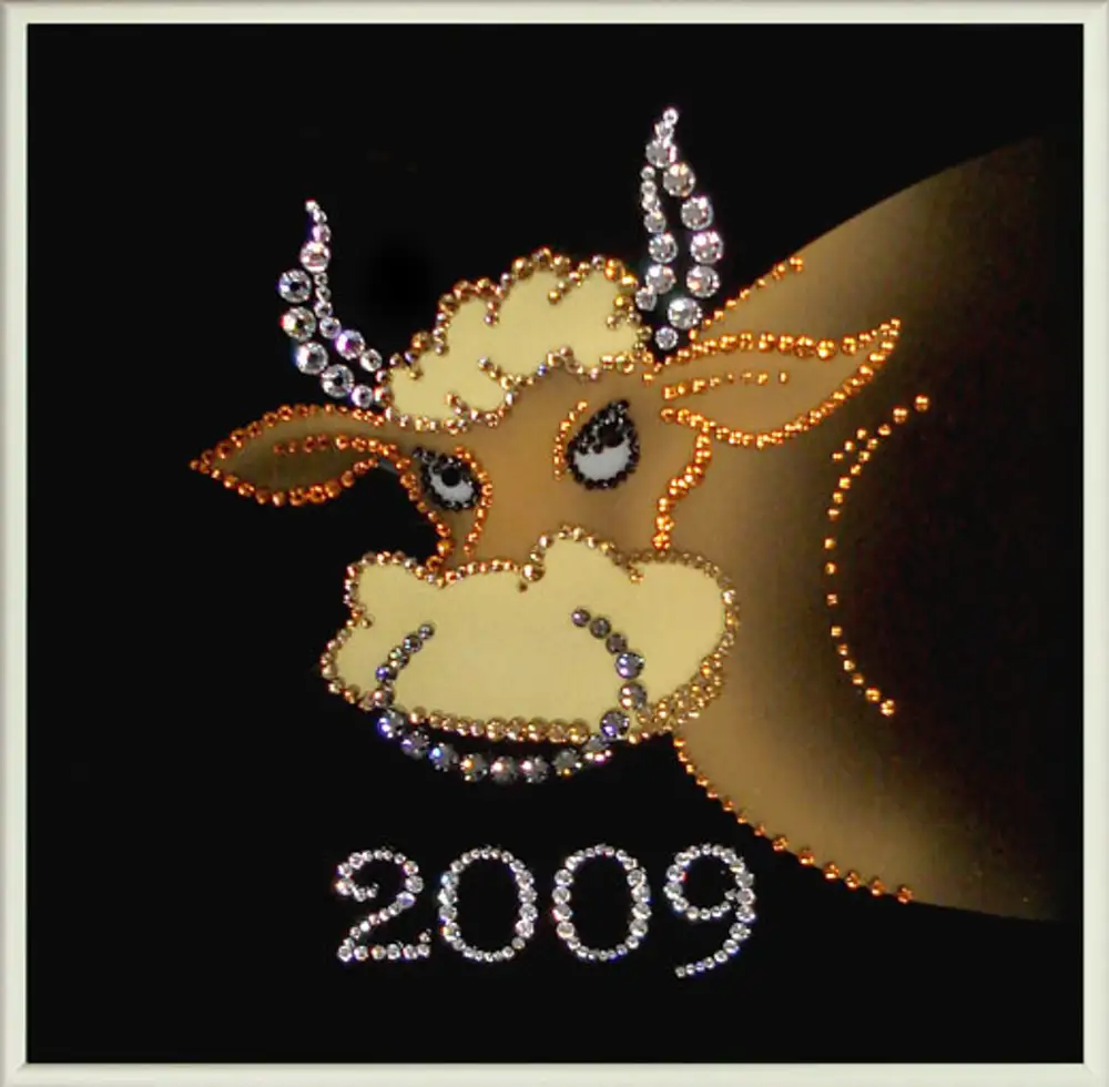 2009 какой. Год быка 2009. 2009 Год животное. 2009 Год какого. 2009 Год год кого.