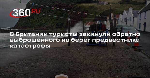 The Irish Times: в Великобритании группа друзей спасла сельдяного короля